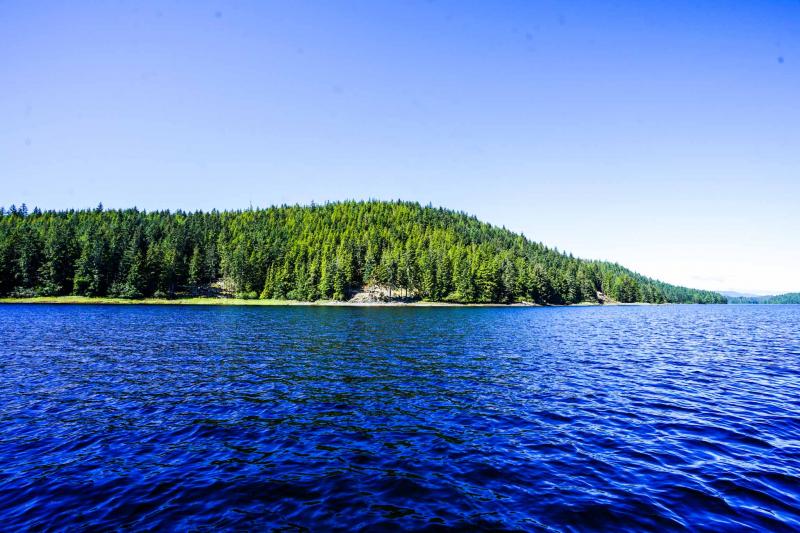 Prince of Wales Island Realty LLC Developed Oceanfront Lot THORNE